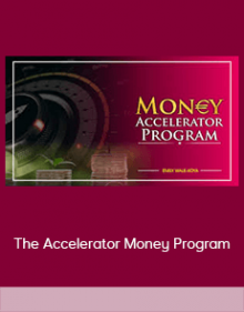 vThe Accelerator Money Program