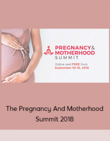 The Pregnancy And Motherhood Summit 2018