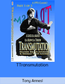 Tony Annesi - Transmutation