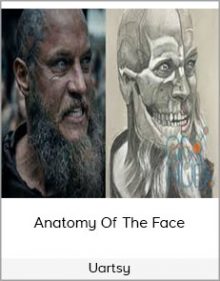 Uartsy – Anatomy Of The Face