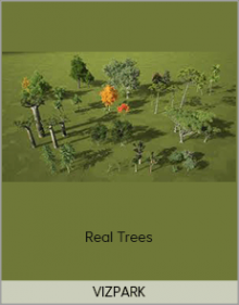 VIZPARK – Real TreesVIZPARK – Real Trees