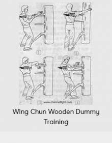 Wing Chun Wooden Dummy Training