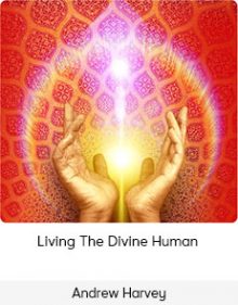 Andrew Harvey – Living The Divine Human