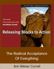 Ann Weiser Cornell - Releasing Blocks To Action