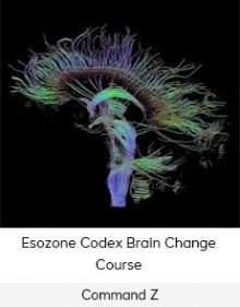 Command Z - Esozone Codex Brain Change Course