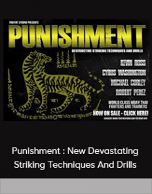 Punishment : New Devastating Striking Techniques And Drills