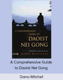 Damo Mitchell - A Comprehensive Guide to Daoist Nei Gong