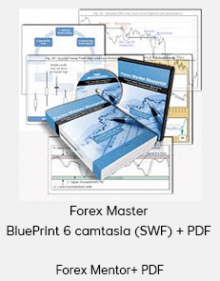 Forex Mentor - Forex Master BluePrint 6 camtasia (SWF) + PDF