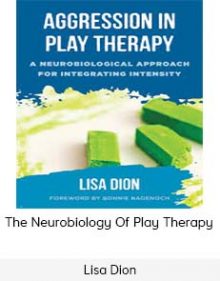 Lisa Dion - The Neurobiology Of Play Therapy