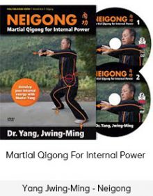 Yang Jwing-Ming - Neigong - Martial Qigong For Internal Power