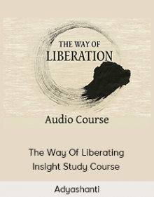 Adyashanti - The Way Of Liberating Insight Study Course