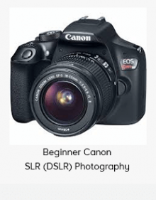 Beginner Canon SLR (DSLR) Photography