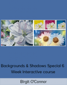 Birgit O'Connor - Backgrounds & Shadows Special 6 - Week Interactive course