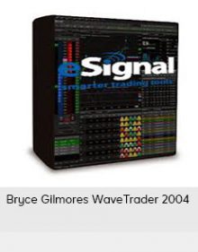 Bryce Gilmores WaveTrader 2004