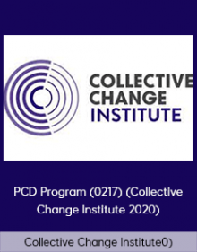 Collective Change Institute - PCD Program (0217) (Collective Change Institute 2020)