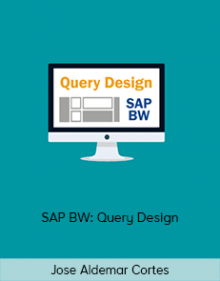 Jose Aldemar Cortes - SAP BW: Query Design