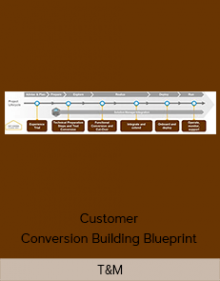 T&M - Customer Conversion Building Blueprint