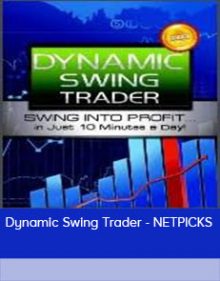 Dynamic Swing Trader - NETPICKS