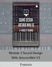 Francois - Module 3 Sound Design With Arturia Mini V3