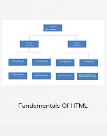 Fundamentals Of HTML