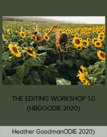 Heather Goodman - THE EDITING WORKSHOP 1.0 (HBGOODIE 2020)