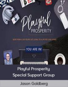 Jason Goldberg - Playful Prosperity - Special Support Group