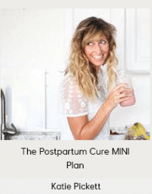 Katie Pickett - The Postpartum Cure MINI Plan