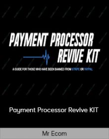 Mr Ecom - Payment Processor Revive KIT