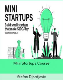 Stefan Djordjevic – Mini Startups Course