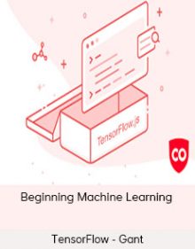 TensorFlow - Gant - Beginning Machine Learning