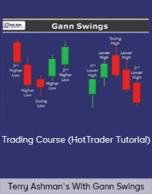 Terry Ashman’s Gann Swings Swing Trading Course (HotTrader Tutorial)