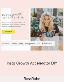 BossBabe – Insta Growth Accelerator DIY