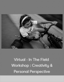 Virtual - In The Field - Workshop : Creativity & Personal Perspective