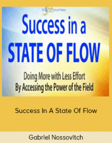 Gabriel Nossovitch - Success In A State Of Flow