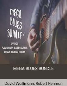 David Wallimann, Robert Renman - MEGA BLUES BUNDLE