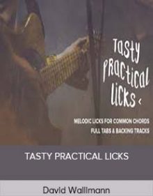 David Wallimann - TASTY PRACTICAL LICKS