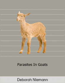 Deborah Niemann - Parasites In Goats