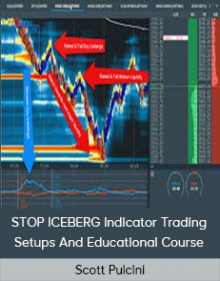 Scott Pulcini – STOP ICEBERG Indicator Trading Setups And Educational Course