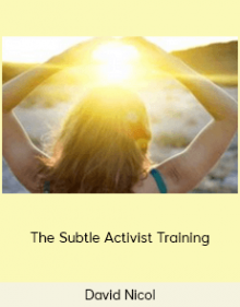 David Nicol - The Subtle Activist Training