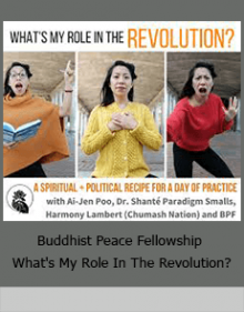 Buddhist Peace Fellowship - What's My Role In The Revolution?