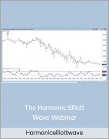 Harmonicelliottwave - The Harmonic Elliott Wave Webinar