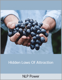 NLP Power - Hidden Laws Of Attraction