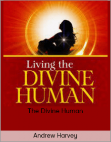 Andrew Harvey - The Divine Human