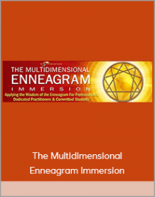 The Multidimensional Enneagram Immersion