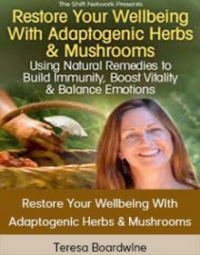 Teresa Boardwine - Restore Your Wellbeing With Adaptogenic Herbs & Mushrooms