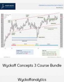 Wyckoffanalytics – Wyckoff Concepts 3 Course Bundle