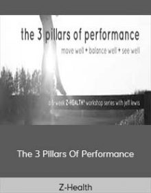 Z-Health - The 3 Pillars Of Performance