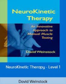 David Weinstock - NeuroKinetic Therapy - Level 1