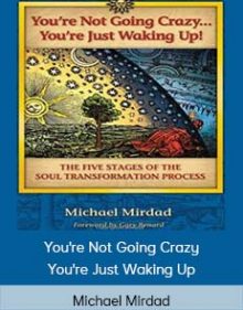 Michael Mirdad - You're Not Going Crazy You're Just Waking Up