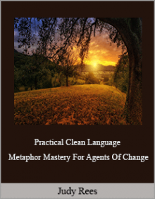 Judy Rees - Practical Clean Language - Metaphor Mastery For Agents Of Change